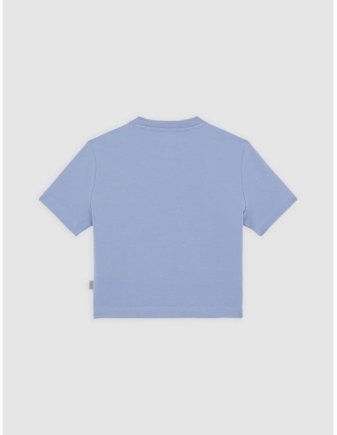 DICKIES MAPLE VALLEY TEE COUNTRY BLUE...
