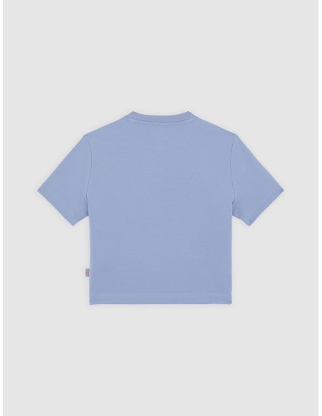 DICKIES MAPLE VALLEY TEE COUNTRY BLUE - DK0A4XPOK371