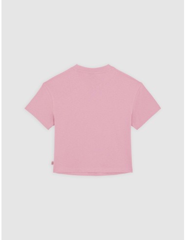 DICKIES OAKPORT BOXY SS TEE WHITE...