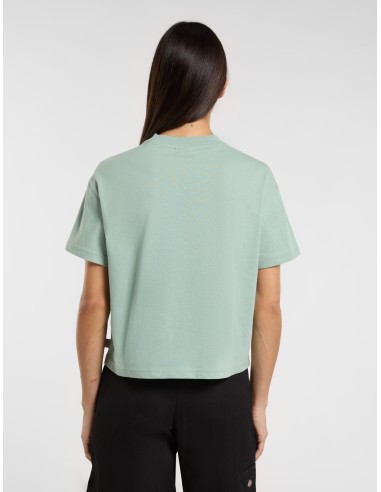 DICKIES OAKPORT BOXY SS TEE ICEBERG...