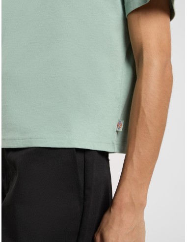 DICKIES OAKPORT BOXY SS TEE ICEBERG...