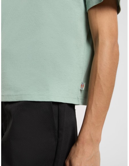 DICKIES OAKPORT BOXY SS TEE ICEBERG GREEN- DK0A4Y8LK361