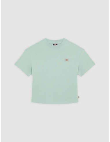 DICKIES OAKPORT BOXY SS TEE ICEBERG...