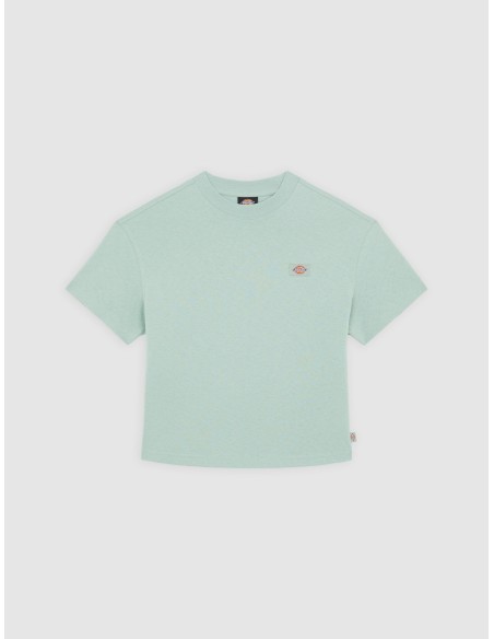 DICKIES OAKPORT BOXY SS TEE ICEBERG GREEN- DK0A4Y8LK361