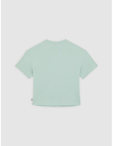 DICKIES OAKPORT BOXY SS TEE ICEBERG...