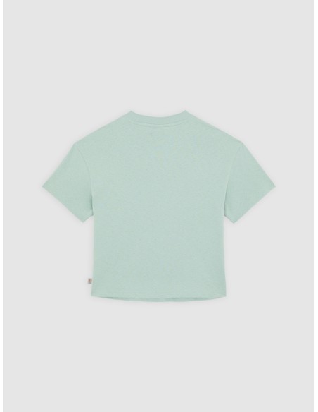DICKIES OAKPORT BOXY SS TEE ICEBERG GREEN- DK0A4Y8LK361