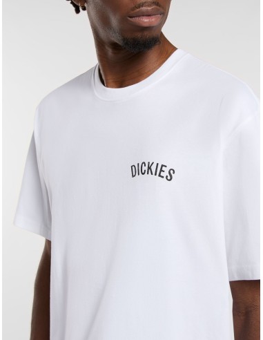 DICKIES SNAKE SS TEE WHITE-DK0A4Z990WH1