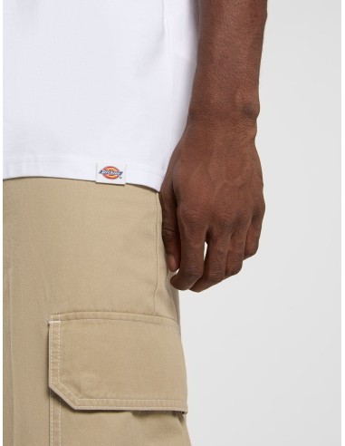 DICKIES SNAKE SS TEE WHITE-DK0A4Z990WH1