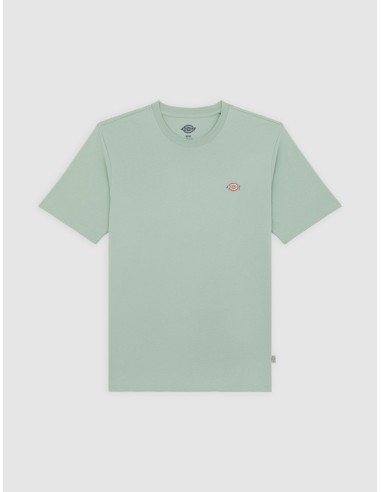 DICKIES SS MAPLETON TEE ICEBERG GREEN...