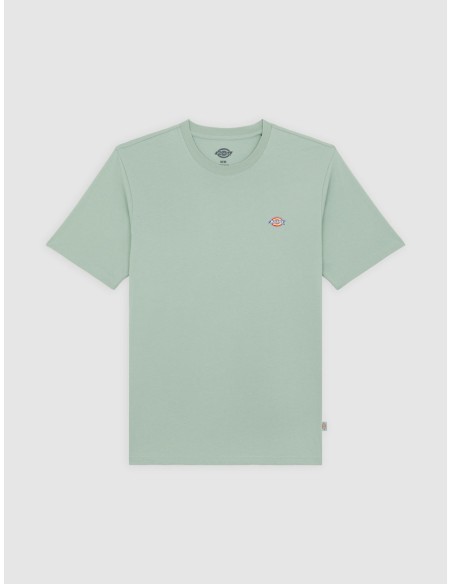 DICKIES SS MAPLETON TEE ICEBERG GREEN - DK0A4XDBK361