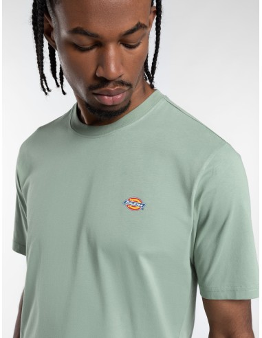 DICKIES SS MAPLETON TEE ICEBERG GREEN...