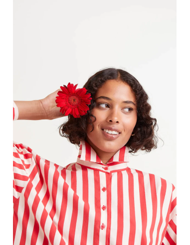 Compania Fantastica Cheescake Shirt -...