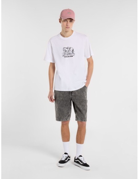 DICKIES GARYVILLE DENIM LIGHT GRAY WASH SHORT - DK0A4XCKJ811