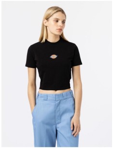 DICKIES MAPLE VALLEY TEE BLACK  - DK0A4XPOBLK1