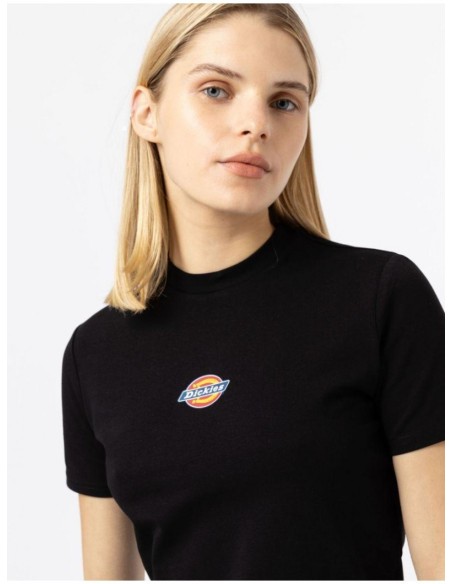 DICKIES MAPLE VALLEY TEE BLACK  - DK0A4XPOBLK1