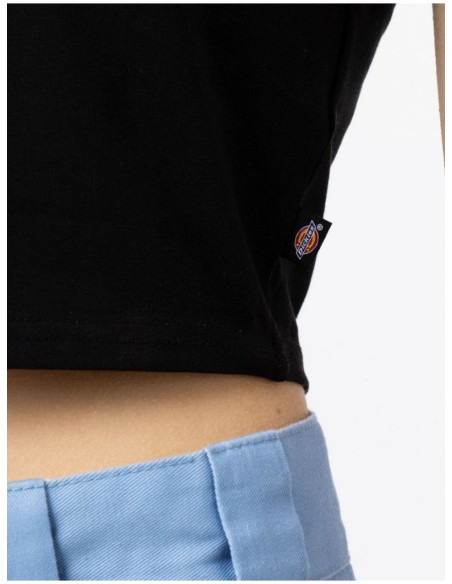 DICKIES MAPLE VALLEY TEE BLACK  - DK0A4XPOBLK1