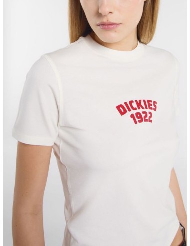 DICKIES CENTER LOGO SS TEE W EGRET -...