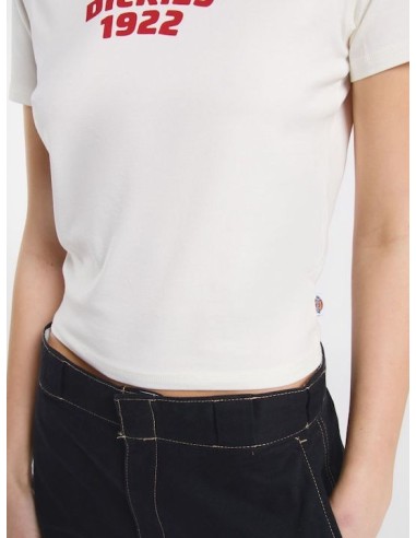 DICKIES CENTER LOGO SS TEE W EGRET -...