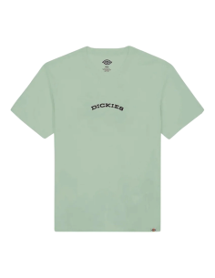 DICKIES OUTDOOR SS TEE ICEBERG GREEN- DK0A4Z8PK361