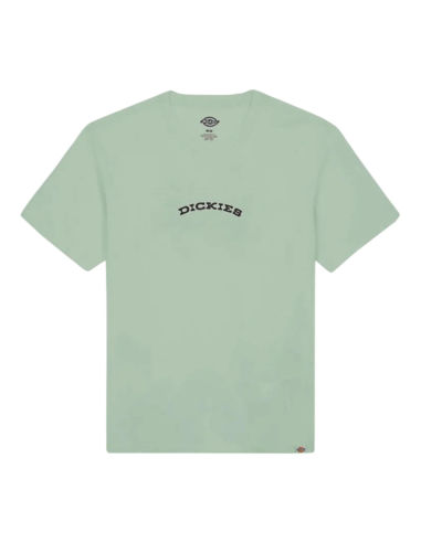 DICKIES OUTDOOR SS TEE ICEBERG GREEN-...