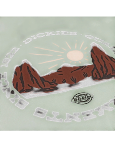 DICKIES OUTDOOR SS TEE ICEBERG GREEN- DK0A4Z8PK361 2