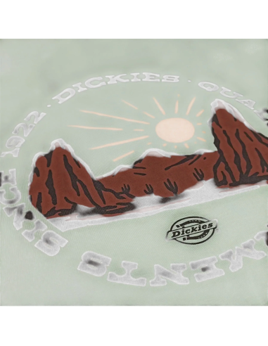 DICKIES OUTDOOR SS TEE ICEBERG GREEN-...