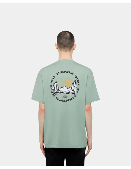 DICKIES OUTDOOR SS TEE ICEBERG GREEN- DK0A4Z8PK361