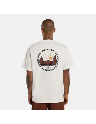 DICKIES OUTDOOR SS TEE EGRET-...