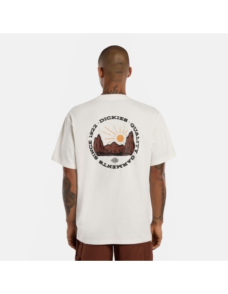 DICKIES OUTDOOR SS TEE EGRET- DK0A4Z8PC481