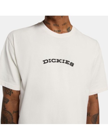 DICKIES OUTDOOR SS TEE EGRET-...