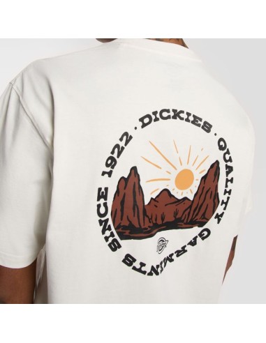 DICKIES OUTDOOR SS TEE EGRET-...