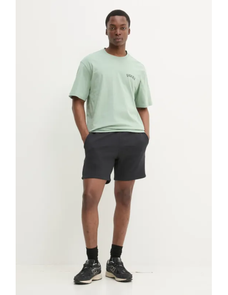 DICKIES SNAKE SS TEE ICEBERG GREEN-DK0A4Z99K361