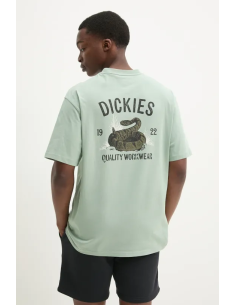 DICKIES SNAKE SS TEE ICEBERG GREEN-DK0A4Z99K361 2