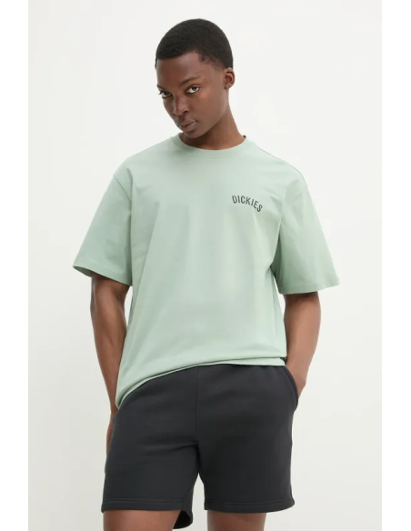 DICKIES SNAKE SS TEE ICEBERG GREEN-DK0A4Z99K361