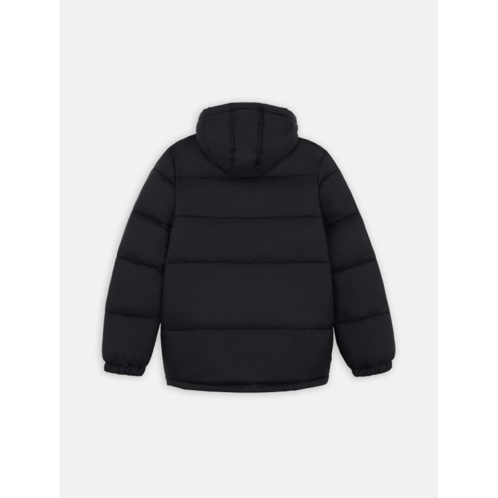 Dickies Puffer Jacket M Waldenburg Hooded - DK0A4YEYBLK1