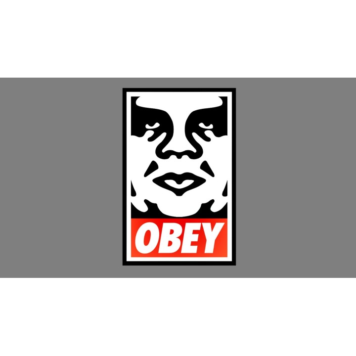 OBEY COLLEGIATE  RAEGAN T-SHIRT /WHITE -267622446