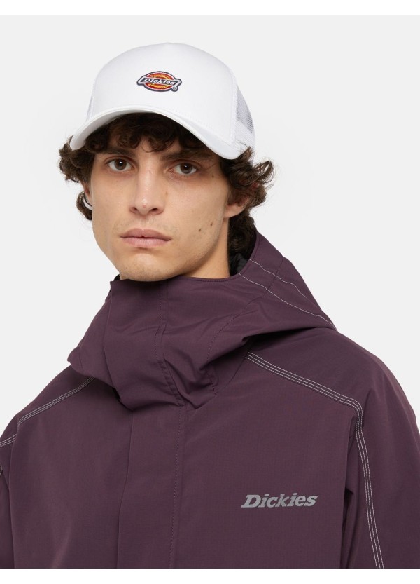 DICKIES Cap Hanston Trucker - DK0A4YV3C581