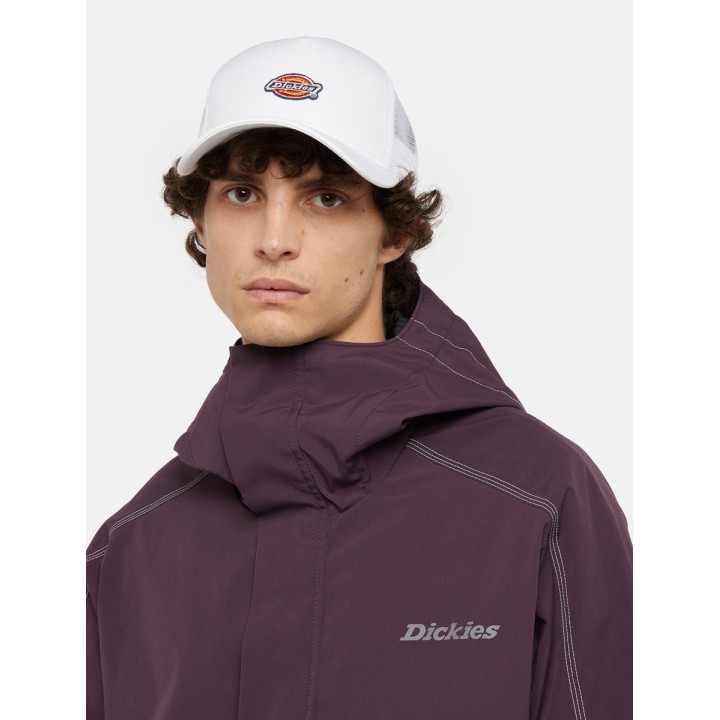 DICKIES Cap Hanston Trucker - DK0A4YV3C581