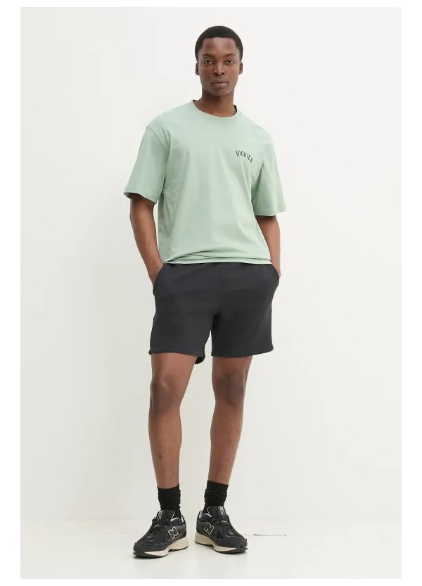 DICKIES T-SHIRT SNAKE ICEBERG GREEN-DK0A4Z99K361