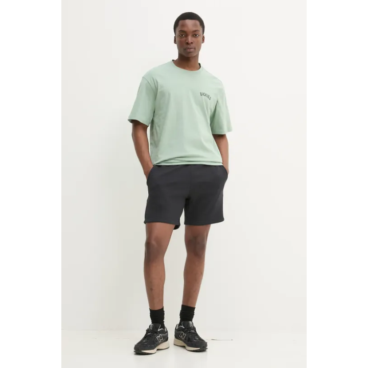 DICKIES T-SHIRT SNAKE ICEBERG GREEN-DK0A4Z99K361