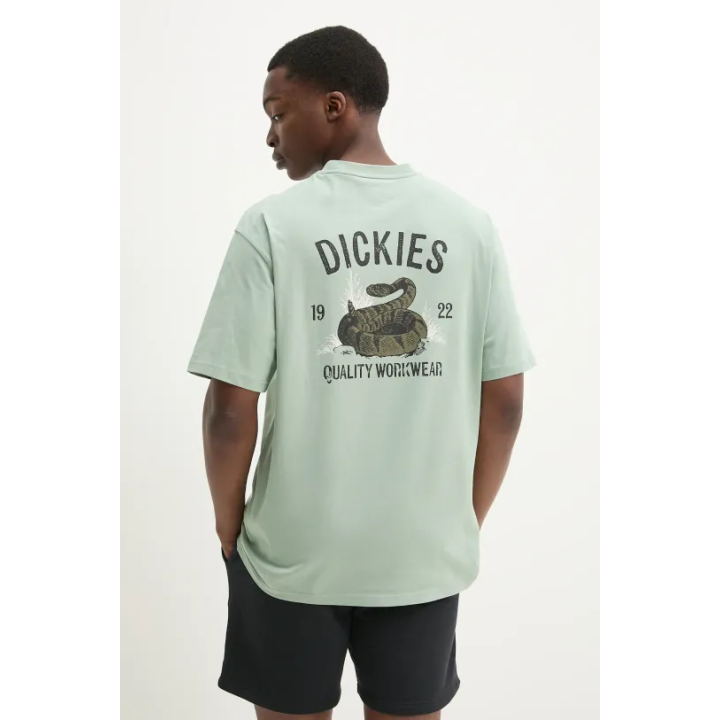 DICKIES T-SHIRT SNAKE ICEBERG GREEN-DK0A4Z99K361