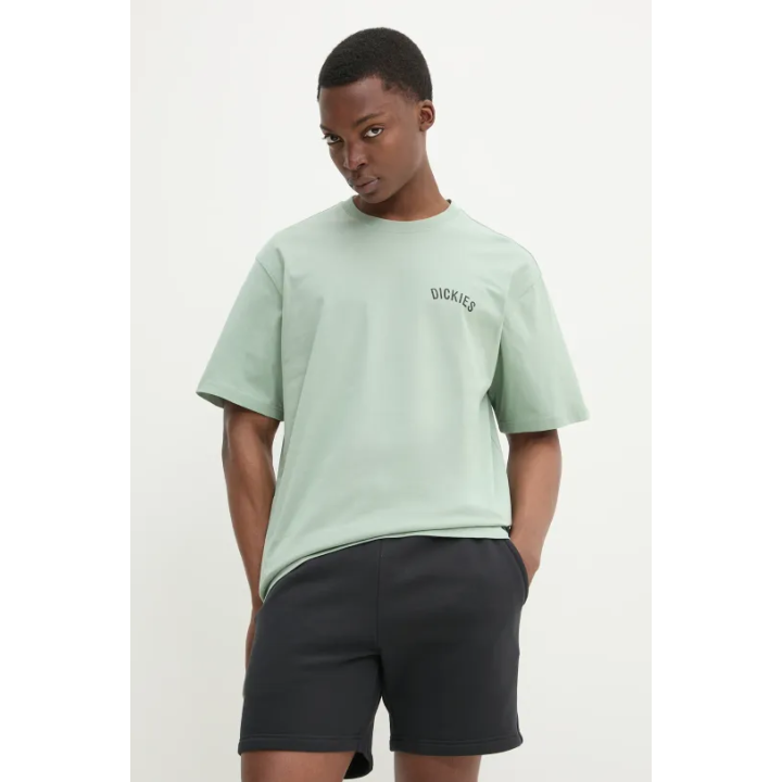 DICKIES T-SHIRT SNAKE ICEBERG GREEN-DK0A4Z99K361