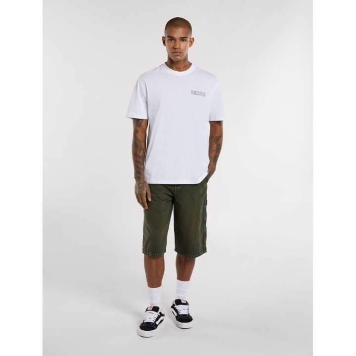 DICKIES SHORTS M LOOSE DENIM PAINTER GREEN TONE FADE - DK0A4ZASK571