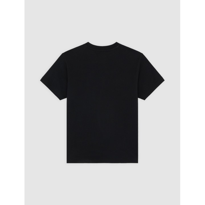Dickies Top Williston Tee SS W Black - DK0A87Q5BLK1