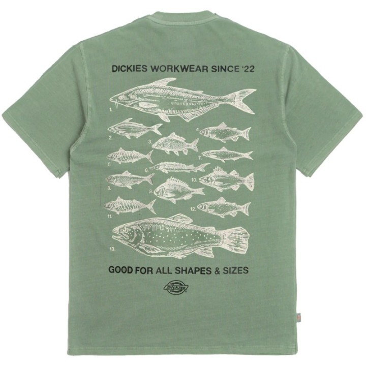 Dickies T-Shirt M Laryville Sea Spray - DK0A87QGL191