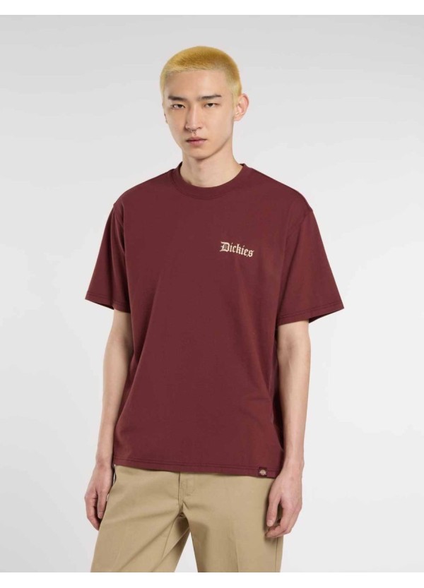 Dickies T-Shirt Diner Andorra - DK0A87QXL161