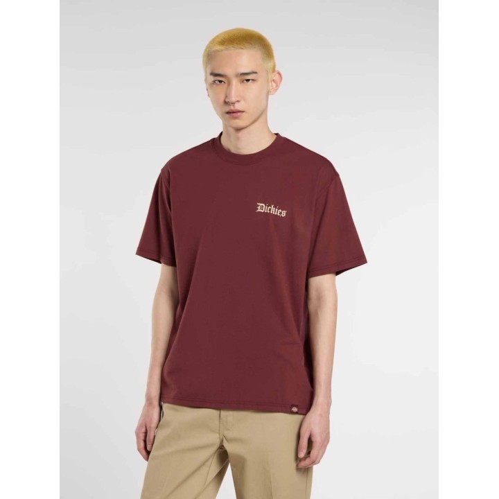 Dickies T-Shirt Diner Andorra - DK0A87QXL161