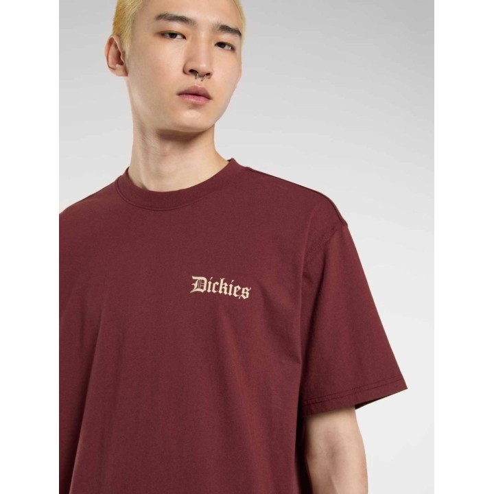 Dickies T-Shirt Diner Andorra - DK0A87QXL161
