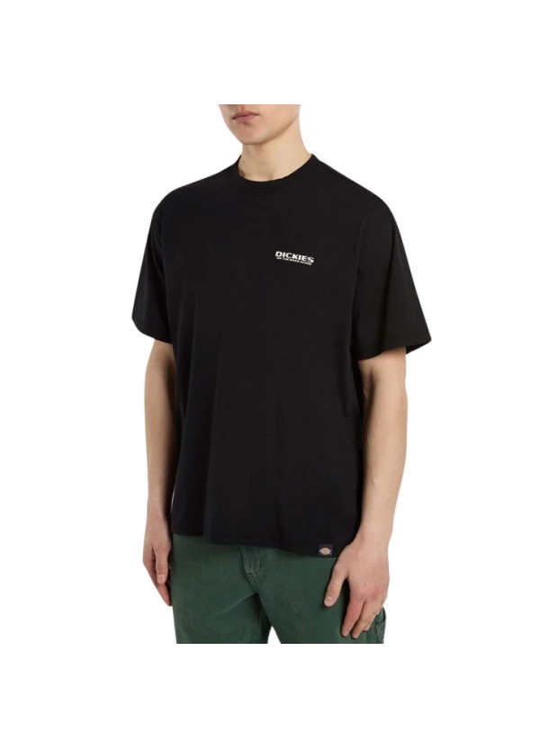 Dickies T-Shirt Burns Black - DK0A87QIBLK1