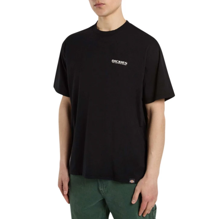 Dickies T-Shirt Burns Black - DK0A87QIBLK1
